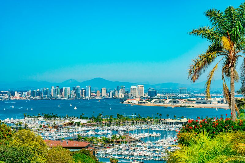 Office Ceiling Installation in San Diego, CA